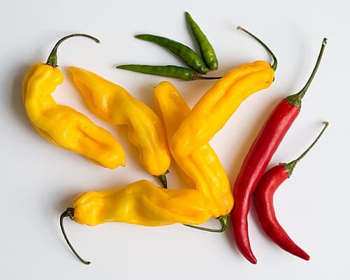 Chili