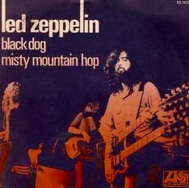 Black Dog