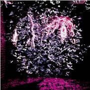 mirrorball